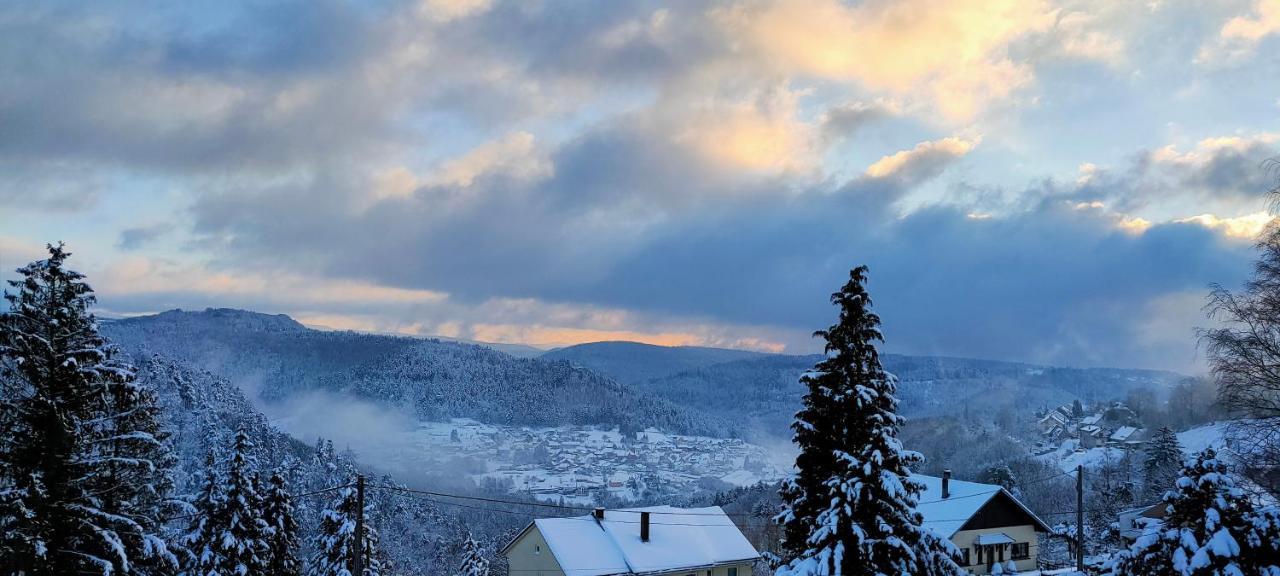 Au Chalet Bain Nordique Neuf Independant Calme Assure Haselbourg Exterior foto
